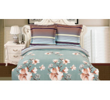 Постельное белье полутораспальное CL-275