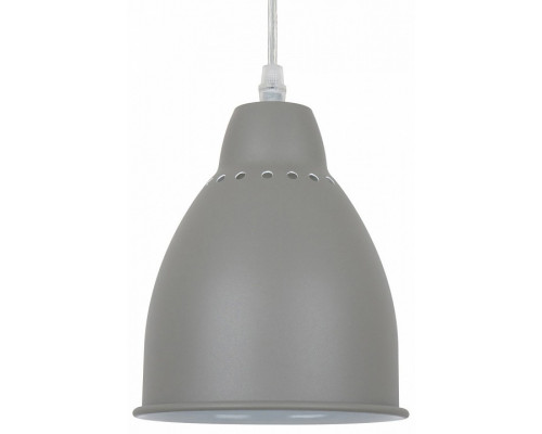 Подвесной светильник Arte Lamp Braccio A2054SP-1GY