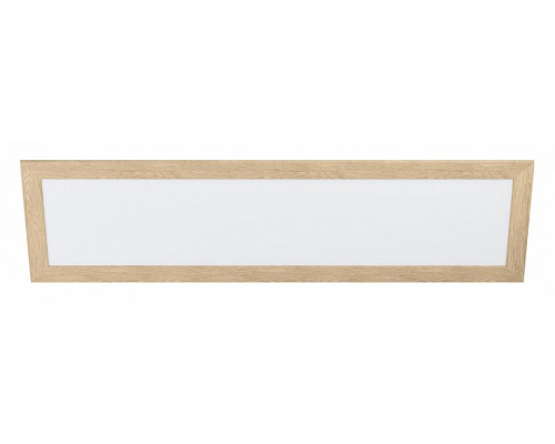 Накладной светильник Eglo ПРОМО Piglionasso 99473