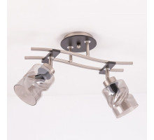 Спот Citilux Мерида 