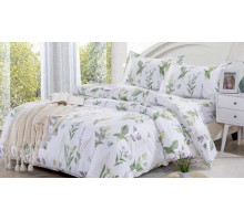 Постельное белье двуспальное AP-16