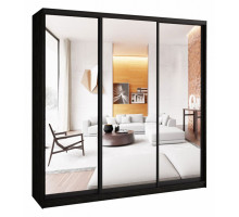 Шкаф-купе А0471494701 2500x580