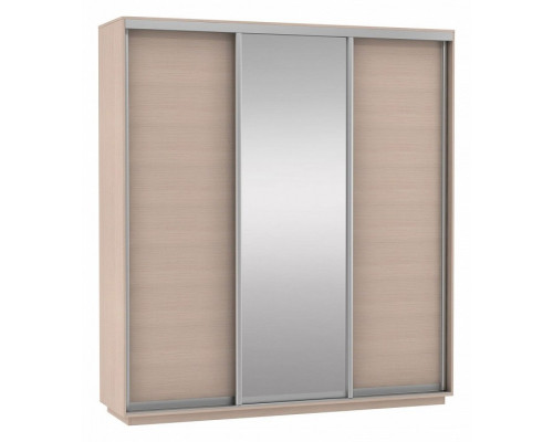 Шкаф-купе Экспресс Медиум (1 зеркало) Трио 1800x600x2400