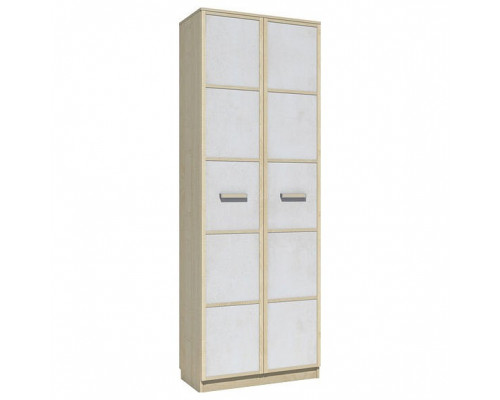 Шкаф платяной Фанк НМ 013.02-02