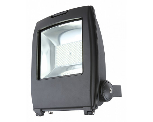 Настенный прожектор Globo Projecteur I 34221