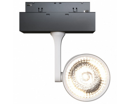 Светильник на штанге Maytoni Track lamps 3 TR024-2-10W3K