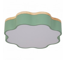 Накладной светильник Escada 10208 10208/1LED (Green)