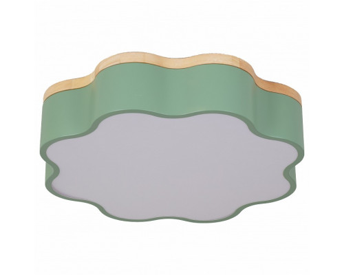 Накладной светильник Escada 10208 10208/1LED (Green)