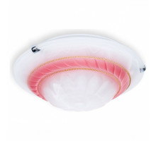 Накладной светильник TopLight Clare TL9101Y-02PK