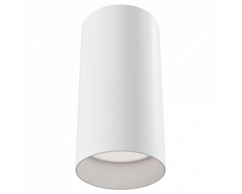 Накладной светильник Maytoni Alfa C010CL-01W