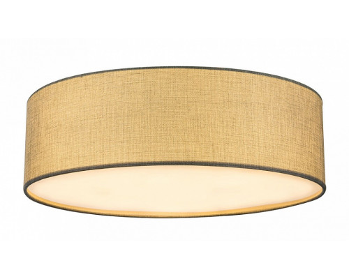 Накладной светильник Globo Paco 15185D6