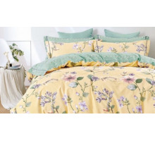 Постельное белье евростандарт RS