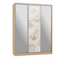 Шкаф-купе Бассо 9-600 розы