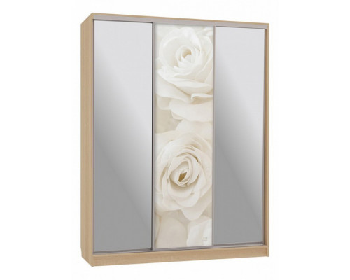 Шкаф-купе Бассо 9-600 розы