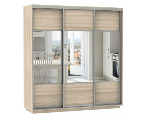 Шкаф-купе Экспресс Комби Трио 2400x600x2400