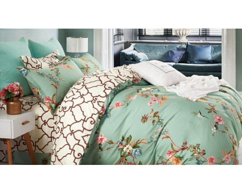 Постельное белье евростандарт C-315