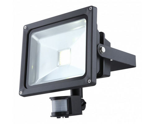 Настенный прожектор Globo Projecteur 34116S