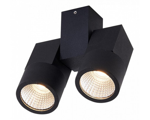 Светильник на штанге Citilux Дубль