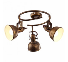 Спот Arte Lamp Martin A5215PL-3BR