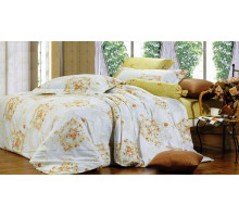 Постельное белье двуспальное B-97