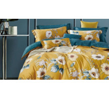 Постельное белье евростандарт RS