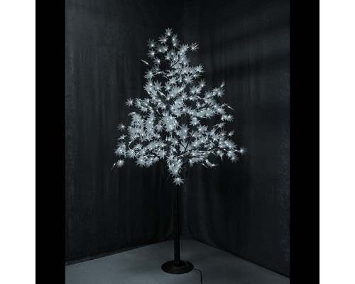 Клен световой (2.1 м) IMT-001 531-515