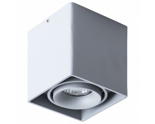 Накладной светильник Arte Lamp Pictor A5654PL-1GY