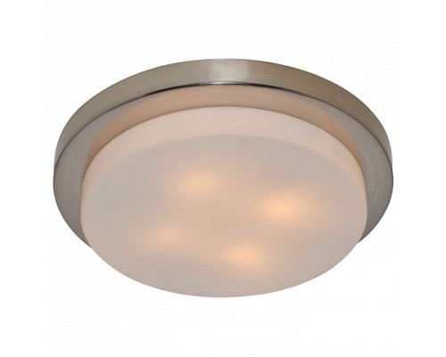 Накладной светильник Arte Lamp Aqua A8510PL-4SS