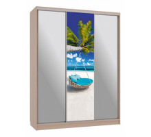 Шкаф-купе Бассо 9-600 77