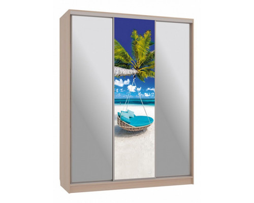 Шкаф-купе Бассо 9-600 77