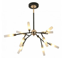 Потолочная люстра Lussole Astoria 