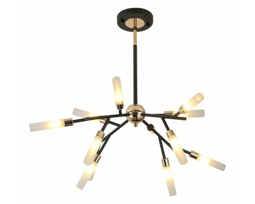 Потолочная люстра Lussole Astoria