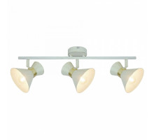 Спот Arte Lamp Baltimore A1406PL-3WG