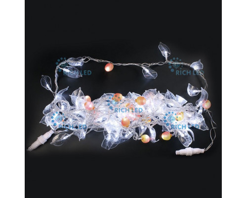 Гирлянда Супернить [10 м] RL-S1T10C-T/W