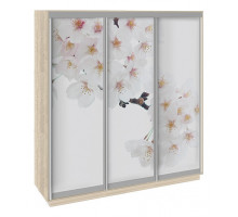 Шкаф-купе Румер СШК 1.210.70-35