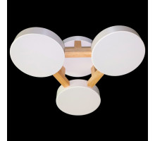 Накладной светильник Natali Kovaltseva 2132 LED LAMPS 81327