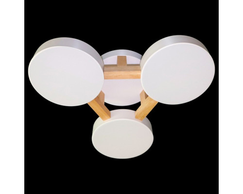 Накладной светильник Natali Kovaltseva 2132 LED LAMPS 81327