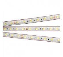 Лента светодиодная [5 м] Arlight  021464(2)