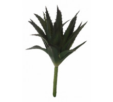 Зелень (19 см) Алоэ 58007800