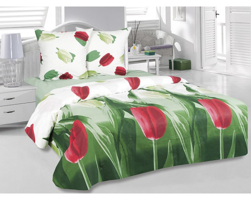 Постельное белье двуспальное Тюльпаны
