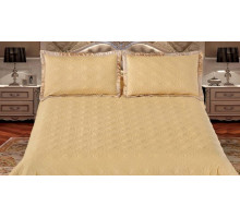 Покрывало с наволочками евростандарт P220