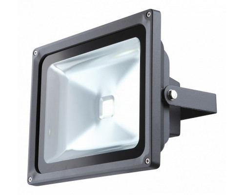 Настенный прожектор Globo Projecteur 34116