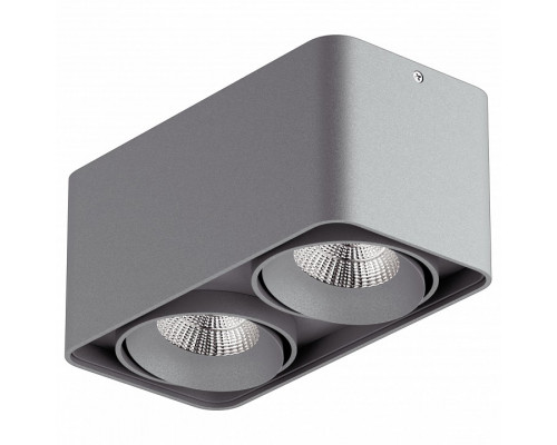 Накладной светильник Lightstar Monocco 212529