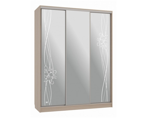 Шкаф-купе Бассо 4-600 волны 2