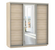 Шкаф-купе Экспресс Медиум (1 зеркало) Трио 2400x600x2200