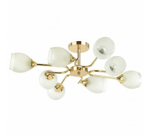 Люстра на штанге Lumion Jolene 4546/8C