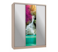 Шкаф-купе Бассо 9-600 49