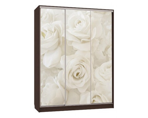 Шкаф-купе Бассо 7-600 розы