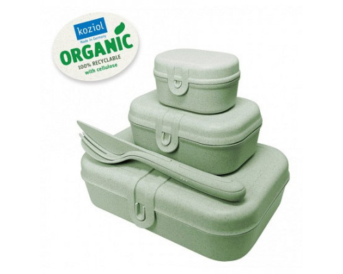 Набор из 3 ланчбоксов (23.2x16.6x6.2 см) Pascal 3168668