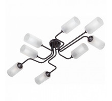 Потолочная люстра Vitaluce 4310 V4310-1/8PL